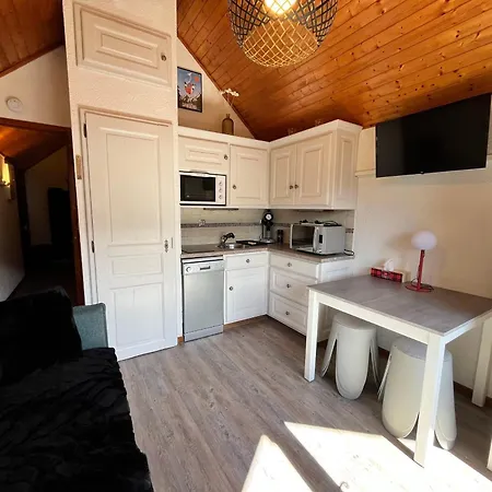 Cosy Au Centre De Samoens, Animaux Acceptes - Fr-1-624-183 Apartmán