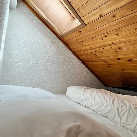 Apartmán Cosy Au Centre De Samoens, Animaux Acceptes - Fr-1-624-183